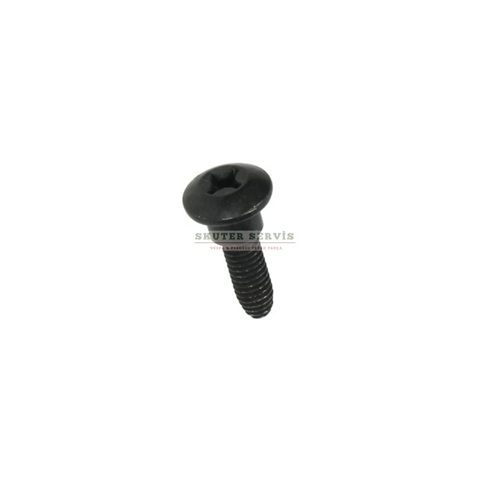 PANEL VİDASI 6 mm